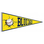 Ricklingen Blue Eagles Vaantje