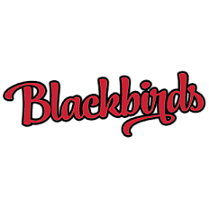 Wolfsburg Blackbirds Fans