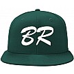 Braintree Rays Pet