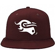 Guildford Mavericks Pet