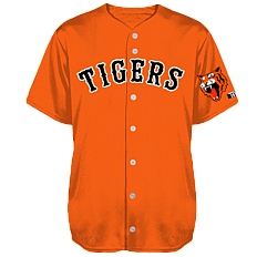 Tampere Tigers Team