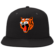 Tampere Tigers Pet