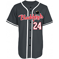 Wolfsburg Blackbirds Team
