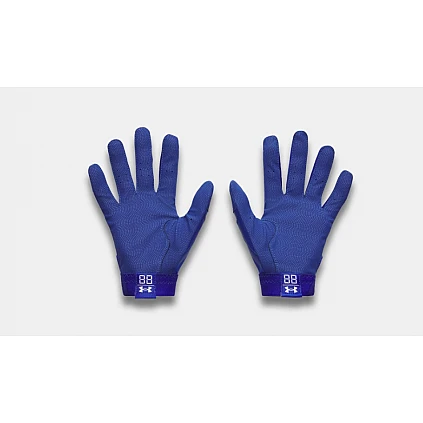 Underarmour Clean Up Royal 25