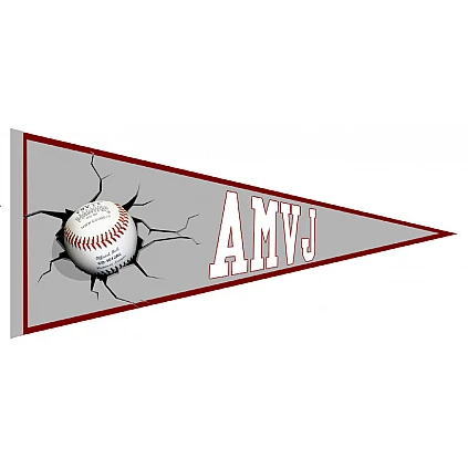 Banderin AMVJ
