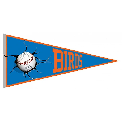 Birds Zoetermeer Pennant