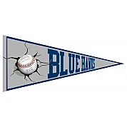 Blue Hawks Pennant
