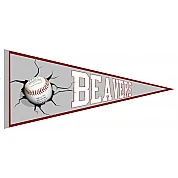 Broxtowe Beavers Pennant