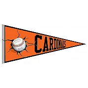 Cardinals Oss Vaantje