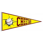Banderin Cheetahs