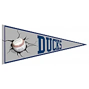 Ducks Pennant