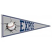 Espoo Expos Pennant