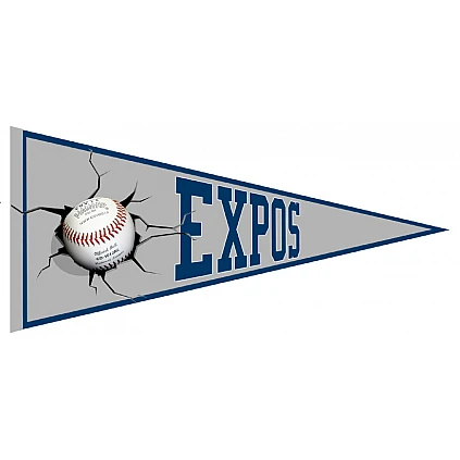 Espoo Expos Pennant