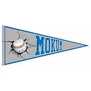 Pennant dei Falchi Mokum