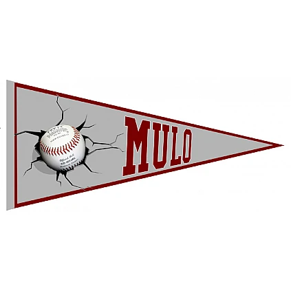 Mulo Pennant