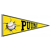 Puumat Helsinki Pennant