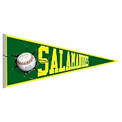 Salamandres le Havre Pennant