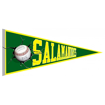 Salamandres le Havre Pennant