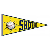 Pennant di Sheffield Bruins