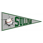 Sullivans Green Devils Vaantje
