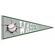 Pennant di Wassenaar