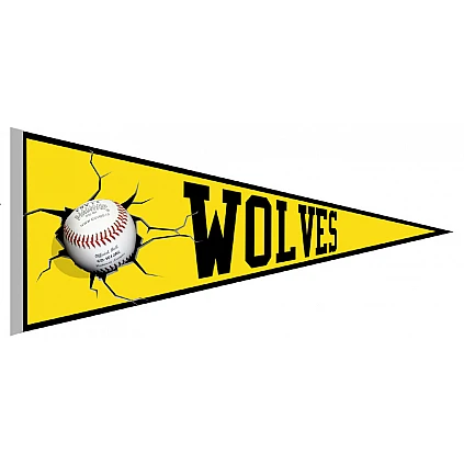 Wolverhampton Wolves Vaantje