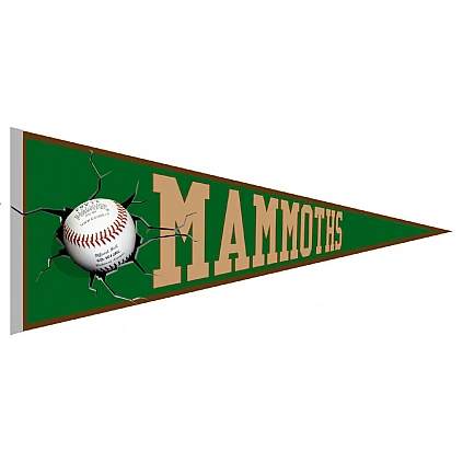 Yverdon Mammoths Pennant