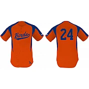 Birds Shirt, 2 Knoopjes: Flatback Mesh