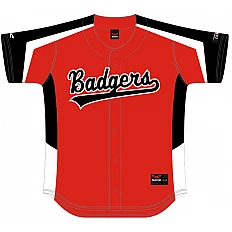 Badgers de besançon