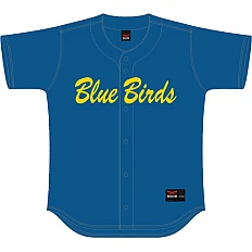 Blue Birds