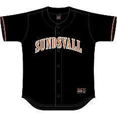 Sundsvall Mosquitoes