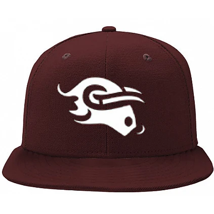 Guildford Mavericks Pet