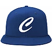 Fenay Cyclones Pet
