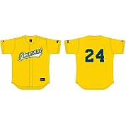 Puumat Shirt, Budget: Flatback Mesh