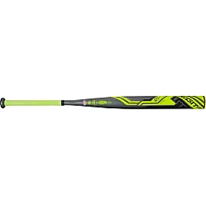 Women's Softball