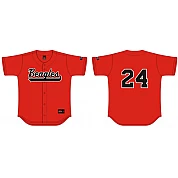 Camisa Beagles
