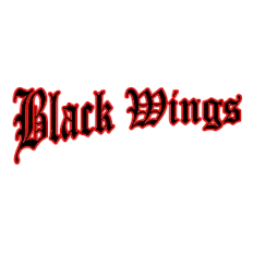 Hanau Blackwings Fans