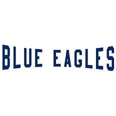 Tifosi delle Aquile Azzurre di Ricklingen