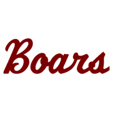 Baldham Boars Fans
