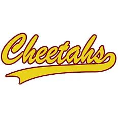 Cheetahs Fans