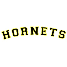 Bad Homburg Hornets Fans