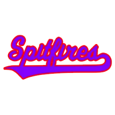 Exeter Spitfires Fans