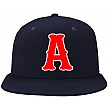 Aberdeen Oilers Pet
