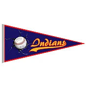 Aichelberg Indians Wimpel