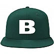 BSM Pet