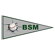 BSM Vaantje