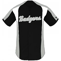 Badhoevedorp Badgers