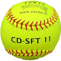 CD-SFT11 Safety (€5,83)