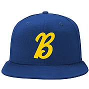 Biënto Pet: B-Logo