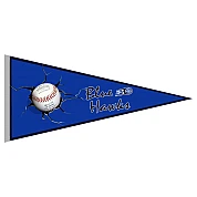 Blue Hawks Vaantje